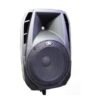 BAFLE PEAVEY PBK15P 15" ACTIVO