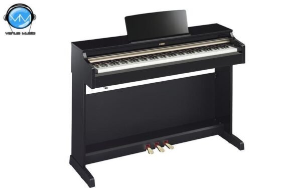 Piano digital Arius (Incluye adaptador PA300C), Negro Brillante NYDP162PESPA