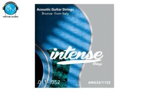 Encordadura Intense Strings Acoustic Guitar Bronze AW633